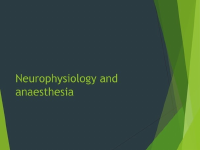 Neurophysiology and anesthesia.pptx